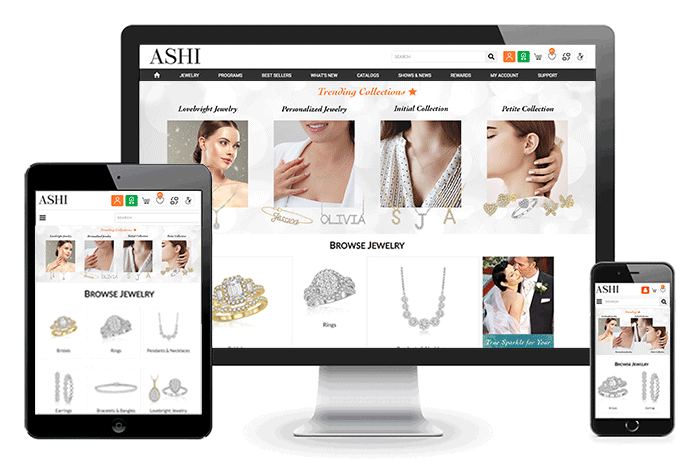 Leverage the Power of the ASHI B2B Website
                                                                   